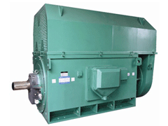 YJTFKK4503-8-280KWY系列6KV高压电机