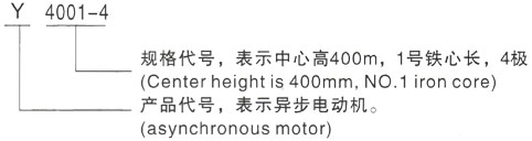 西安泰富西玛Y系列(H355-1000)高压YJTFKK4503-8-280KW三相异步电机型号说明